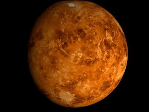 animated 2k venus model 3D Model