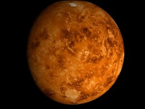 animated 2k venus model 3D Model