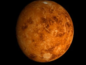 animated 2k venus model 3D Model