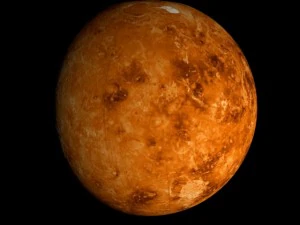 animated 2k venus model 3D Model