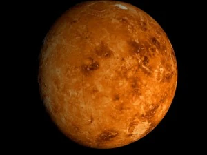 animated 2k venus model 3D Model
