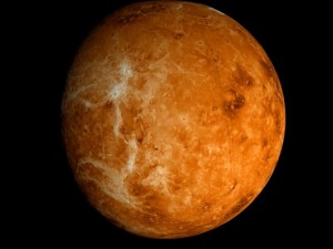 animated 2k venus model Model 3D