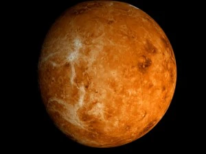 animated 2k venus model 3D Model