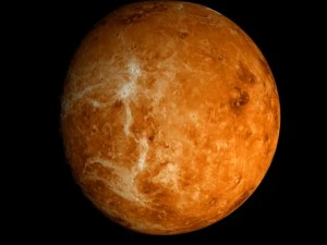 animated 2k venus model 3D Model