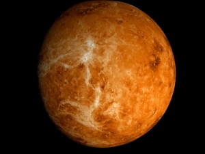 animated 2k venus model Model 3D