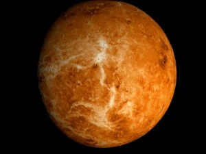 animated 2k venus model 3D Model