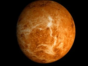 animated 2k venus model 3D Model