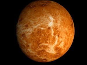 animated 2k venus model Model 3D