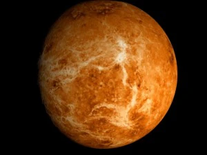 animated 2k venus model 3D Model