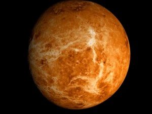 animated 2k venus model 3D Model