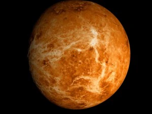animated 2k venus model 3D Model