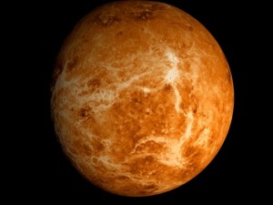 animated 2k venus model Model 3D