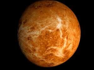 animated 2k venus model 3D Model