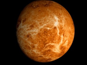 animated 2k venus model Model 3D