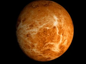 animated 2k venus model 3D Model