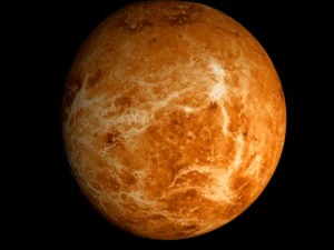 animated 2k venus model 3D Model