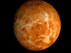 animated 2k venus model Model 3D