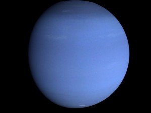 animated hd neptune model Modello 3D