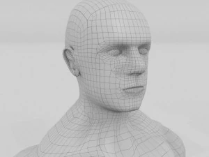 8k muscular human male 3D Model