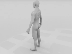 human male pack 3D Model