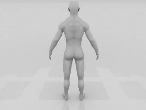 human male pack 3D Model