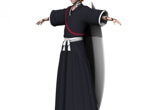 ichigo 3D Модель