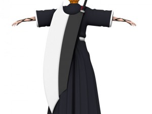 ichigo 3D Модель