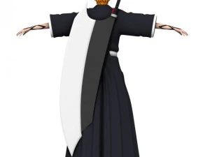 ichigo 3D Model