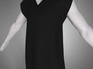shirt 3D Model