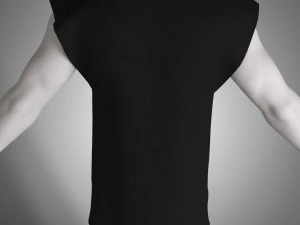shirt 3D Model