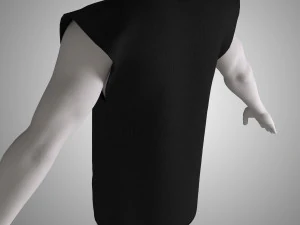 shirt 3D Model