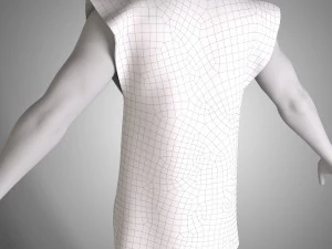 shirt 3D Model