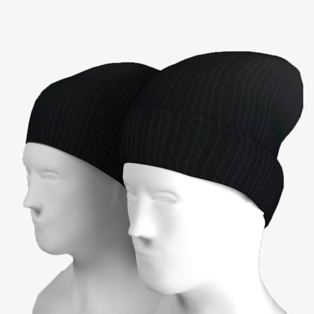 two caps 3D Model .c4d .max .obj .3ds .fbx .stl .blend