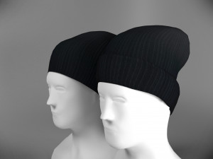 two caps 3D Model