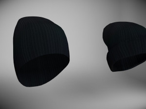 two caps 3D Model
