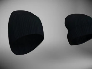 two caps 3D Model
