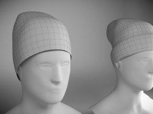two caps 3D Model