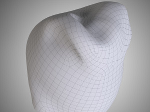 cap Model 3D