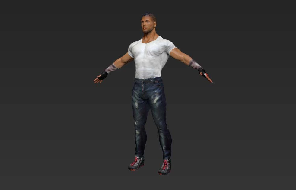 Hero 3D Model .c4d .max .obj .3ds .fbx .stl .blend