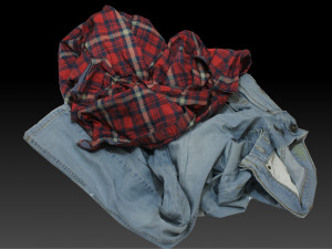 Pile of Cloths 1 Model 3D