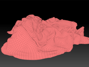Pile of Cloths 6 Model 3D