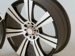 cerchi in lega Modello 3D