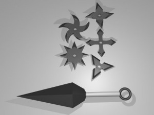 ninja Modello 3D
