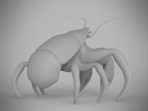 coconut crab 3Dモデル