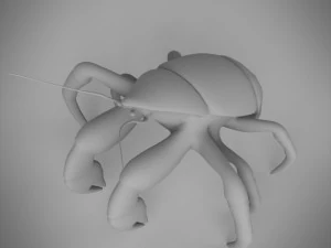 coconut crab 3D Model