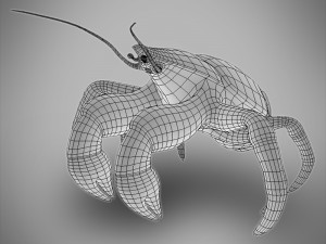 coconut crab 3Dモデル