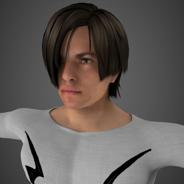 harry 3D 모델 .c4d .max .obj .3ds .fbx .stl .blend 