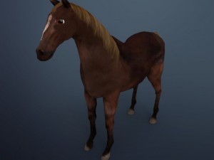 horse 3D-Modell