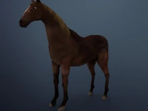 horse 3D Model