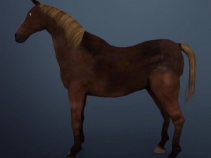 horse 3D मॉडल